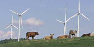 Québec mise sur l’éolien malgré le marché défavorable