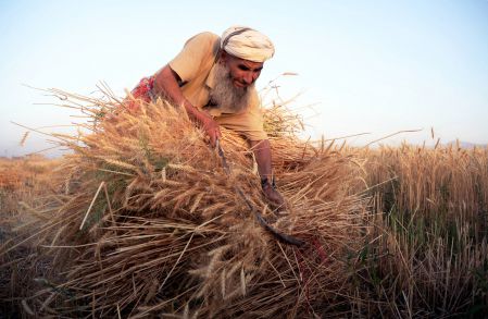 Les changements climatiques menacent la sécurité alimentaire, selon la Banque mondiale