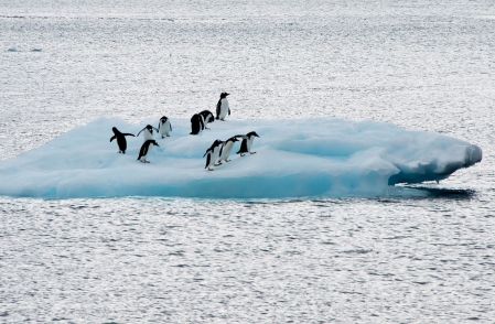 La Russie refuse des aires marines protégées en Antarctique