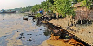 Catastrophique marée noire au Bangladesh