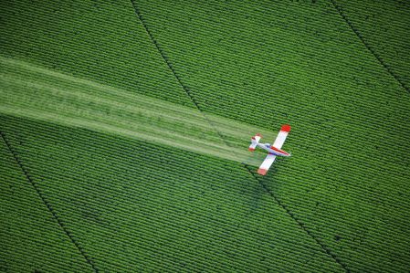 Cinq pesticides classés cancérogènes «probables» ou «possibles»