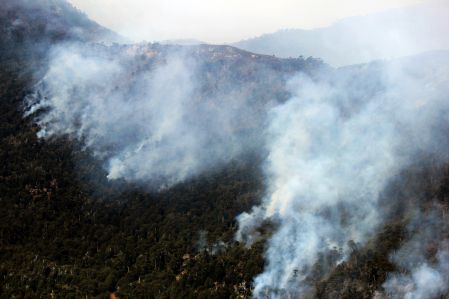 Le sud du Chili ravagé par des feux de forêt