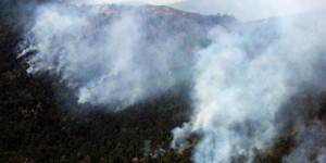 Le sud du Chili ravagé par des feux de forêt