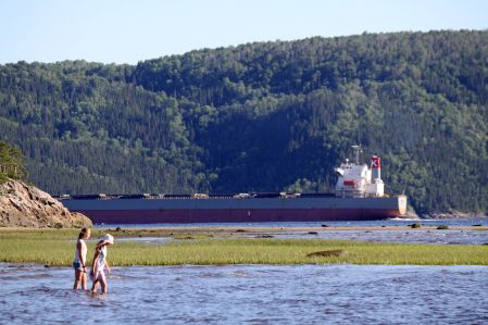 Le projet de port devrait subir un examen environnemental du Québec, selon le BAPE