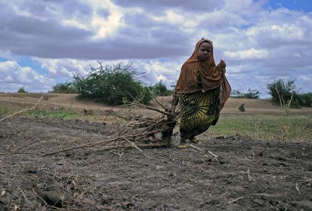 L’inaction sur le climat fera flamber la pauvreté, prévient la Banque mondiale