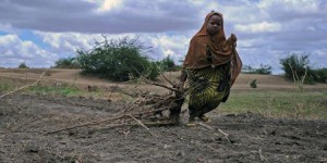 L’inaction sur le climat fera flamber la pauvreté, prévient la Banque mondiale