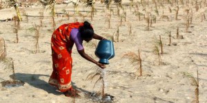 Changement climatique: les paysans du monde aux premières loges
