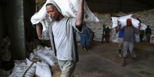 El Niño, une menace pour la sécurité alimentaire