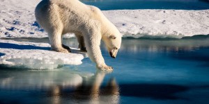Contenir le réchauffement sous 1,5 °C sauverait la banquise arctique