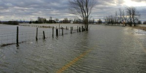 Inondations: plusieurs rivières sous surveillance