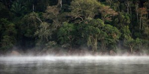 La justice suspend l’abolition d’une immense réserve naturelle d’Amazonie
