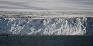 Un réchauffement d’un seul degré bouleverserait l’écosystème de l’Antarctique