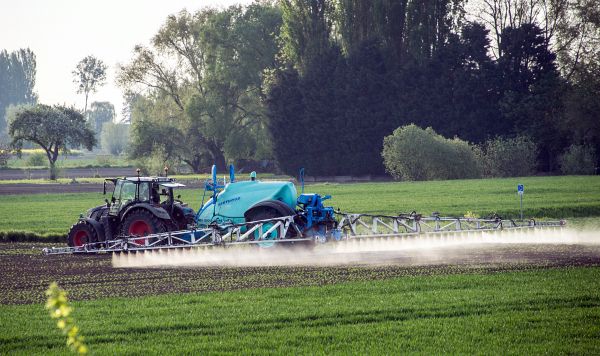 Les pesticides «néonics» menacent les fondations de la biodiversité
