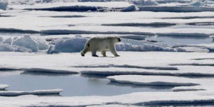 Le Canada signe un nouveau traité sur la pêche dans l’Arctique