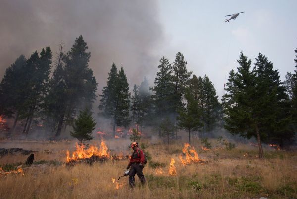 Les feux de forêt dominent la liste des événements météo les plus marquants de 2017