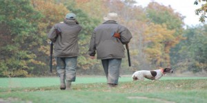 Franche-Comté : des chasseurs soupçonnés d'avoir tué des espèces protégées