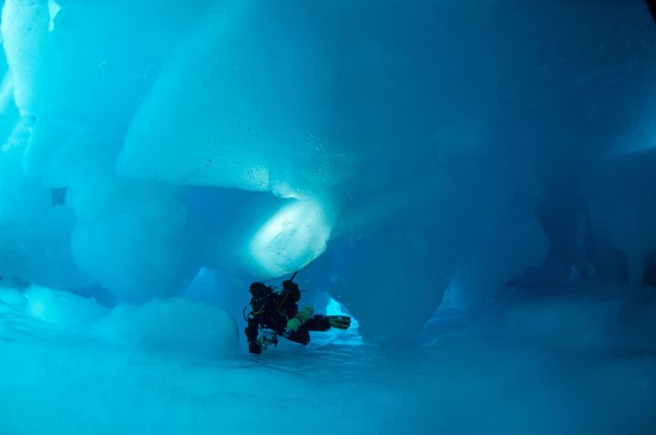 Exploit : une expédition française va plonger sous le pôle