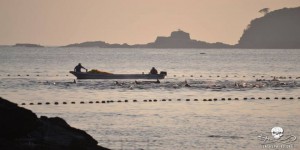 VIDEO. Japon : massacre de dauphins dans la baie de Taiji