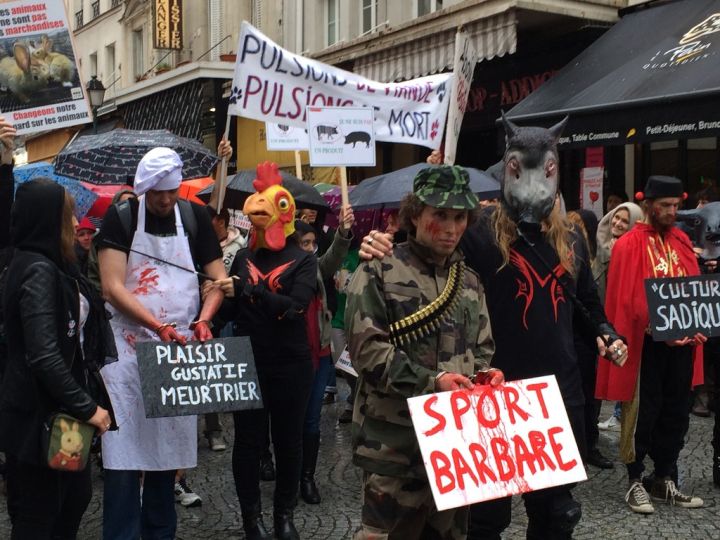 VIDEO. Paris : des centaines d'anti-viande défilent pour la «Veggie Pride»