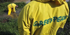 Intrusion à Gravelines : prison avec sursis pour des militants de Greenpeace