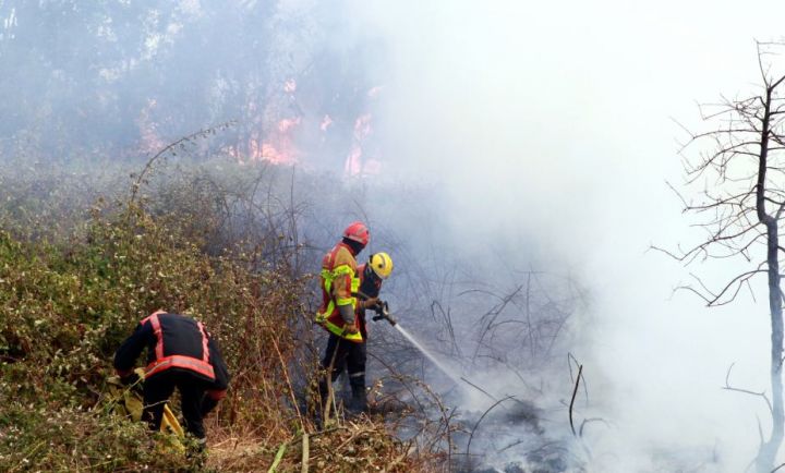 Vents forts dans le Sud : 500 hectares brûlés en Corse, vigilance à Marseille