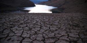 VIDEO. La Californie face à sa pire sécheresse en 1200 ans