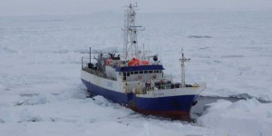 Antarctique : un brise-glace américain libère un chalutier prisonnier des glaces