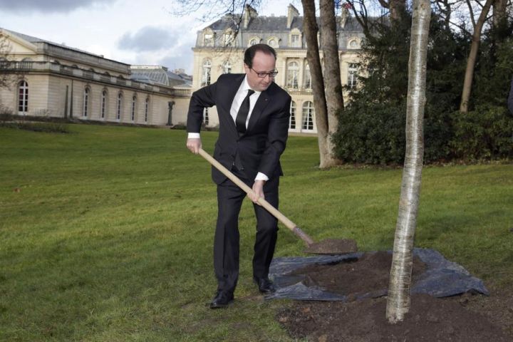 VIDEO. Après huit heures au Salon de l'agriculture, Hollande plante un chêne à l'Elysée