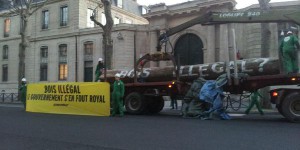 Greenpeace dépose 4 tonnes de bois tropical devant le ministère de l'Ecologie