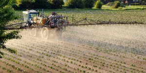 Cinq pesticides classés cancérogènes par l'OMS