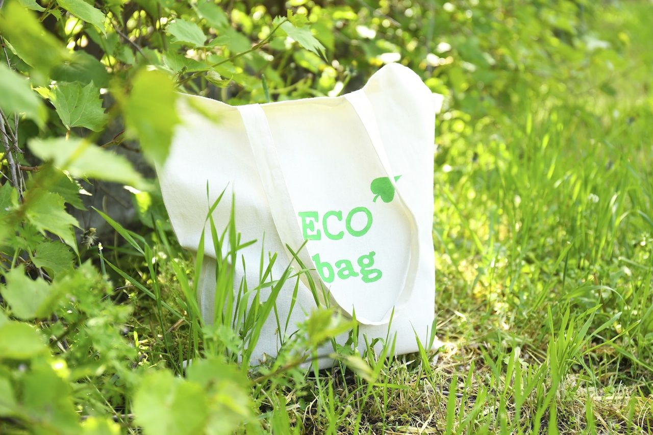 Bioplastiques : une alternative au sac de caisse jetable ?
