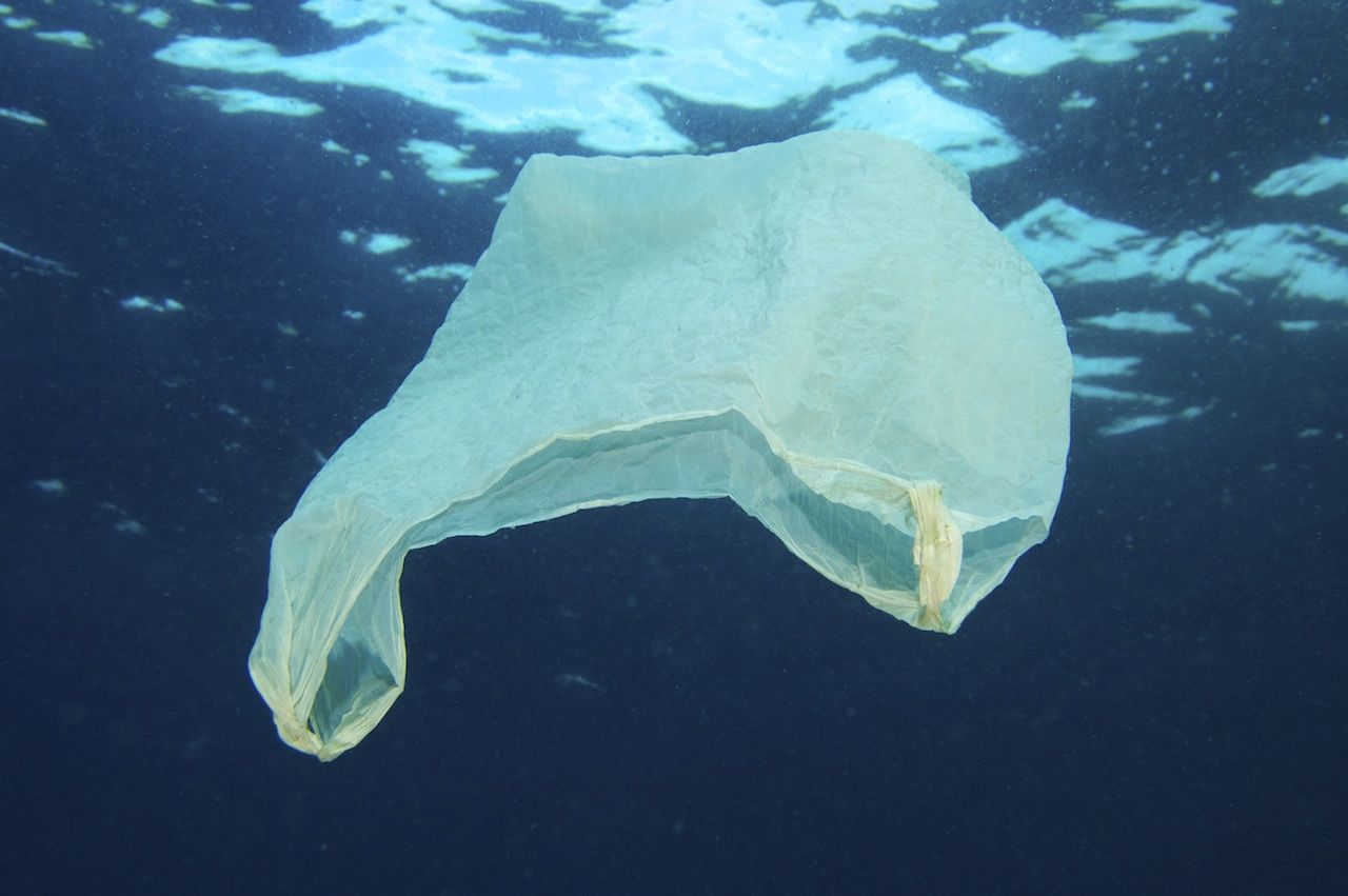 Le sac plastique, le serial killer des mers