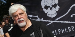 Sea Sheperd : « Il y a beaucoup d'argent à se faire en détruisant les océans », regrette Paul Watson