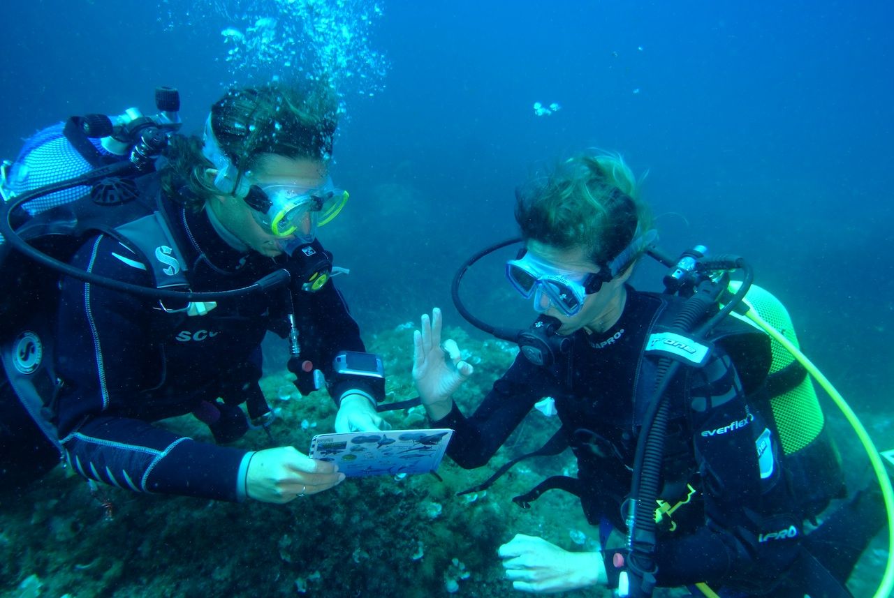 Quel est l’impact de la plongée sous-marine au fond des mers ? 
