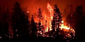 VIDEOS. Etats-Unis : de violents incendies ravagent la côte ouest