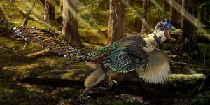Un cousin à plumes du Velociraptor découvert en Chine