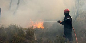 Vague de chaleur : alerte incendie maximale en Espagne