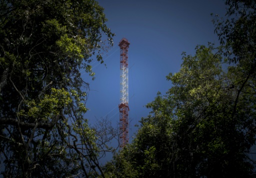 En Amazonie, un laboratoire aussi haut que la Tour Eiffel pour observer le climat