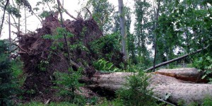 Doubs : un camping ravagé par une mini-tornade