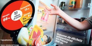 Gaspillage : les supermarchés sommés de ne plus jeter la nourriture