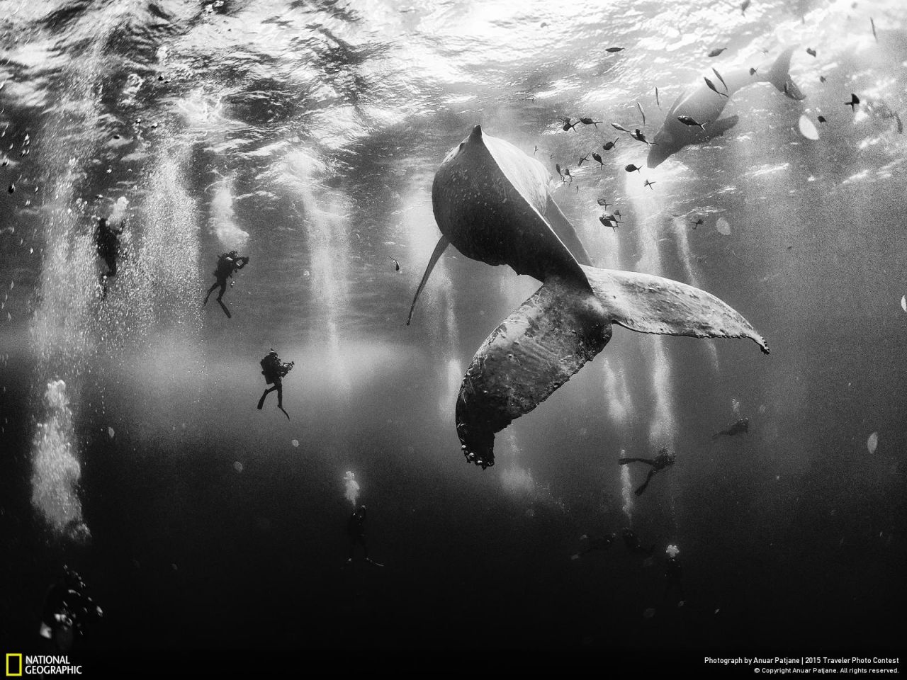 EN IMAGES. Les plus belles photos de voyage de National Geographic