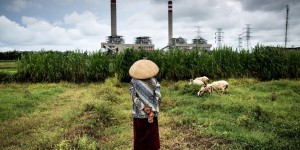 EN IMAGES. L'Indonésie à l'épreuve du charbon