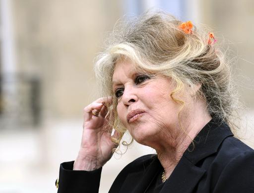 Lion Cecil : Brigitte Bardot demande une punition exemplaire