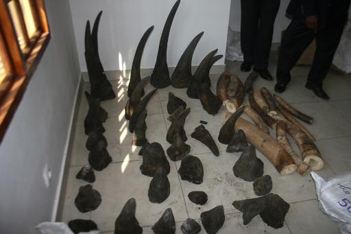 Vietnam : saisie de 700 kilos de cornes de rhinocéros et de défenses d'éléphants