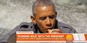 Alaska : Barack Obama mange des restes abandonnés par un ours sauvage