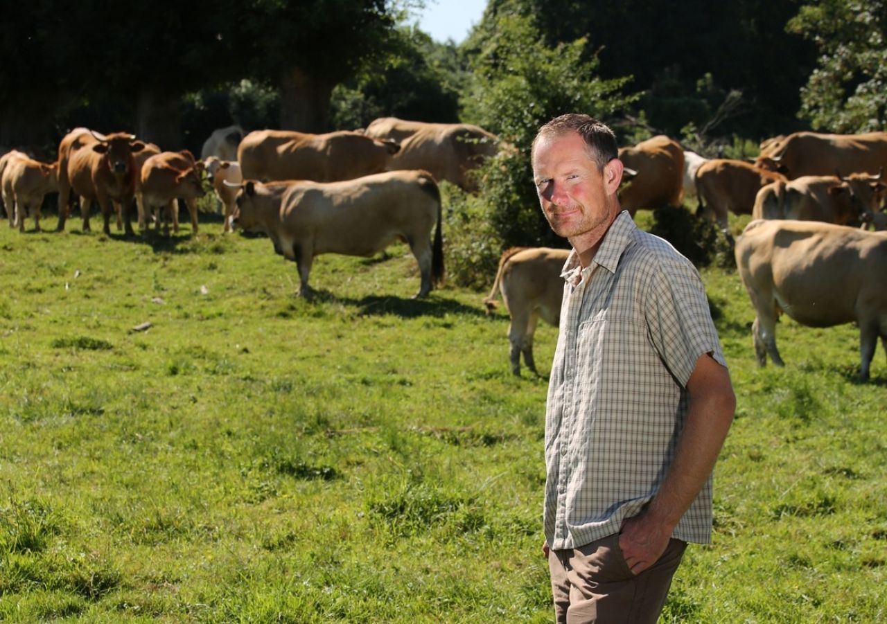 À Bardouville, un éleveur de vaches Aubrac pour la biodiversité