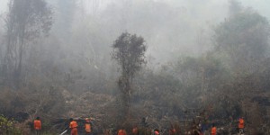 COP21 : L'Indonésie s'engage à réduire de 29% d'ici 2030 ses émissions