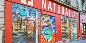 Grass graffiti, rideaux de fer bio... le Street Art écologique