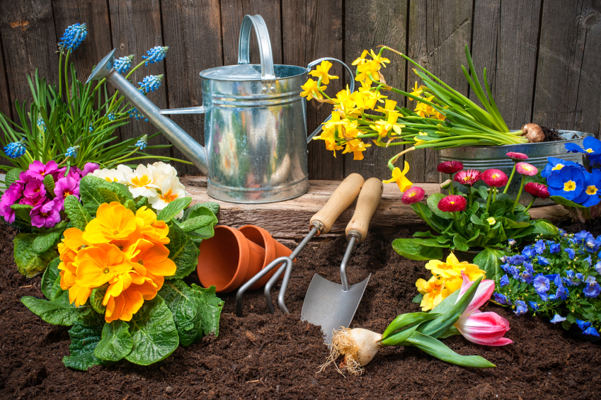 Quiz : connaissez-vous les bons réflexes du jardinier écolo ?