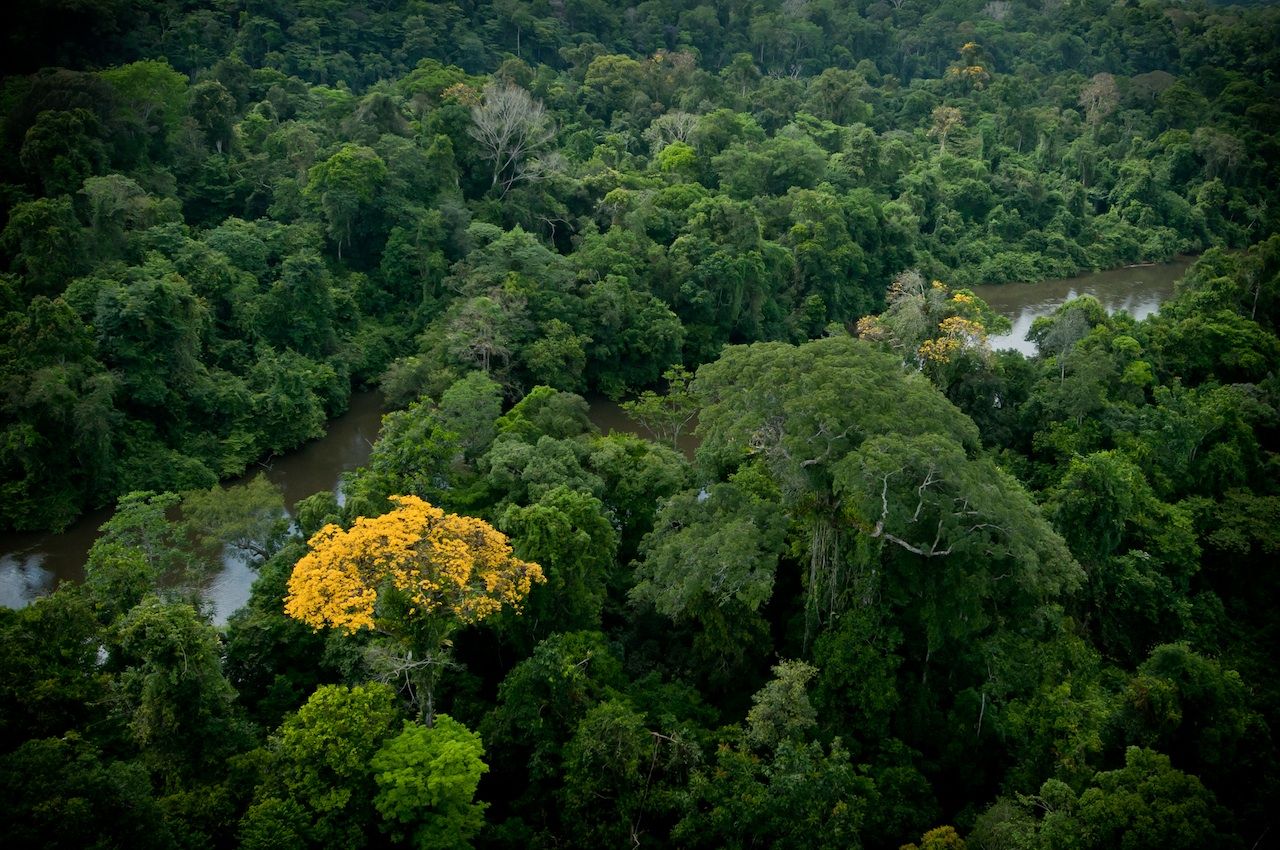 Tourisme : la Guyane valorise l’écotourisme et sa forêt primaire